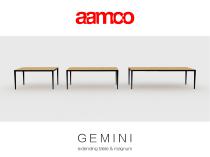 GEMINI TABLE - 1