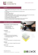 MICROCEMENT-2