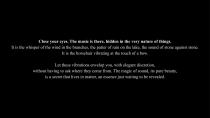 Invisible Player-3