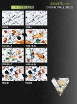 VECTON 250X375 DIGITAL WALL TILES 1-19