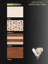 VECTON 250X375 DIGITAL WALL TILES 1-24