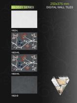 VECTON 250X375 DIGITAL WALL TILES 1-29