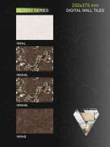 VECTON 250X375 DIGITAL WALL TILES 1-42