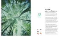 light-4