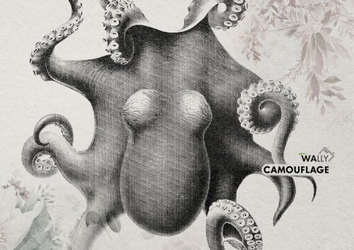 WallyArt Camouflage Catalog