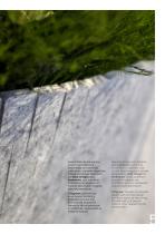 OTOgreen Collection (Acoustic and Biophilic panels and planters)-5