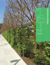 GREENSCREEN CATALOG-7