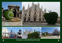 Gardens and authorial landscapes-16
