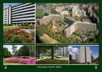 Gardens and authorial landscapes-34