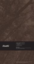 Alustil Beginn-7