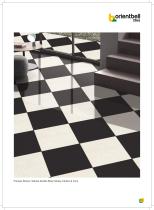 Sahara Double Body Glossy Tile-17