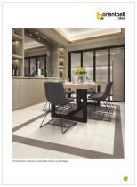 Sahara Double Body Glossy Tile-19