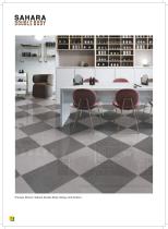 Sahara Double Body Glossy Tile-20