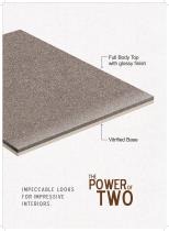 Sahara Double Body Glossy Tile-4