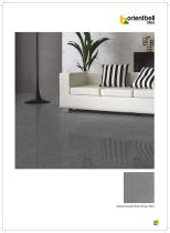 Sahara Double Body Glossy Tile-9