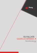 R3 FALCATE-7