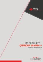 R3 SUBULATE-7
