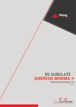 R5 SUBULATE-7