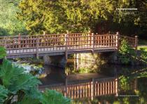 Woodscape Plus Brochure-11