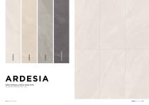ARDESIA-6