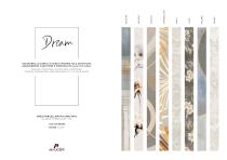 Dream-2