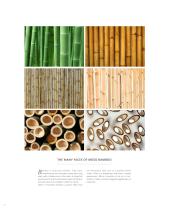 Brochure | Company Brochure-10