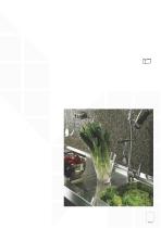 CATALOGO MOSAICI-13