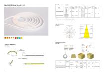 Silicone Neon Strip-11