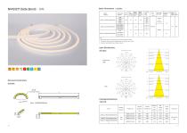 Silicone Neon Strip-12