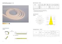 Silicone Neon Strip-15