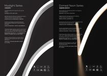 Silicone Neon Strip-4