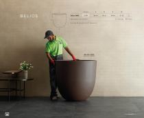 MASSIO COLLECTION-3