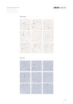 CERAGNI | Catalogue-27