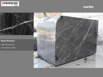 Company presentation-31