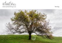 Studio-Stirling-THE-COLLECTION - 18