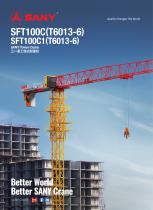 Tower Crane-SFT100C(T6013-6) - 1