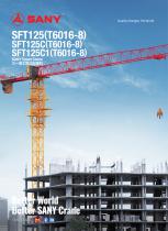 Tower Crane-SFT125C(T6016-8) - 1