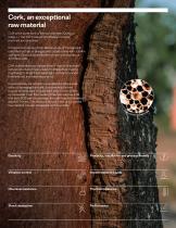 Reinventing thermal protection Insulation and ablative materials - 2