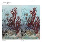 SC133 D-Ocean Still Life-4