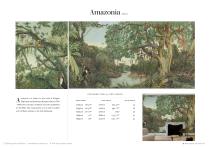 SC161 Amazonia-2