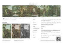 SC161 Amazonia-5