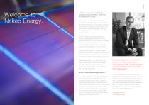 Naked Energy Brochure - 2