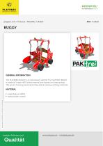 BUGGY - 1