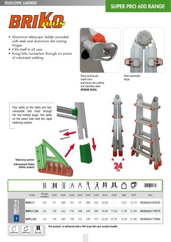 TELESCOPIC LADDERS