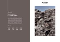 Alvaro Collection-2