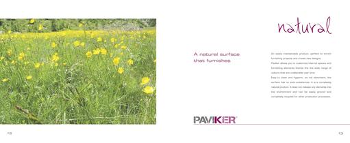 paviker book english - 7