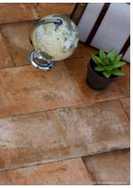 TERRE COLLECTION-5