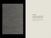 Lithos-19