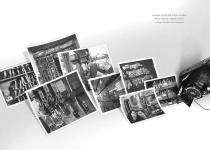 stella Catalog-7
