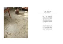 BIERZO-2